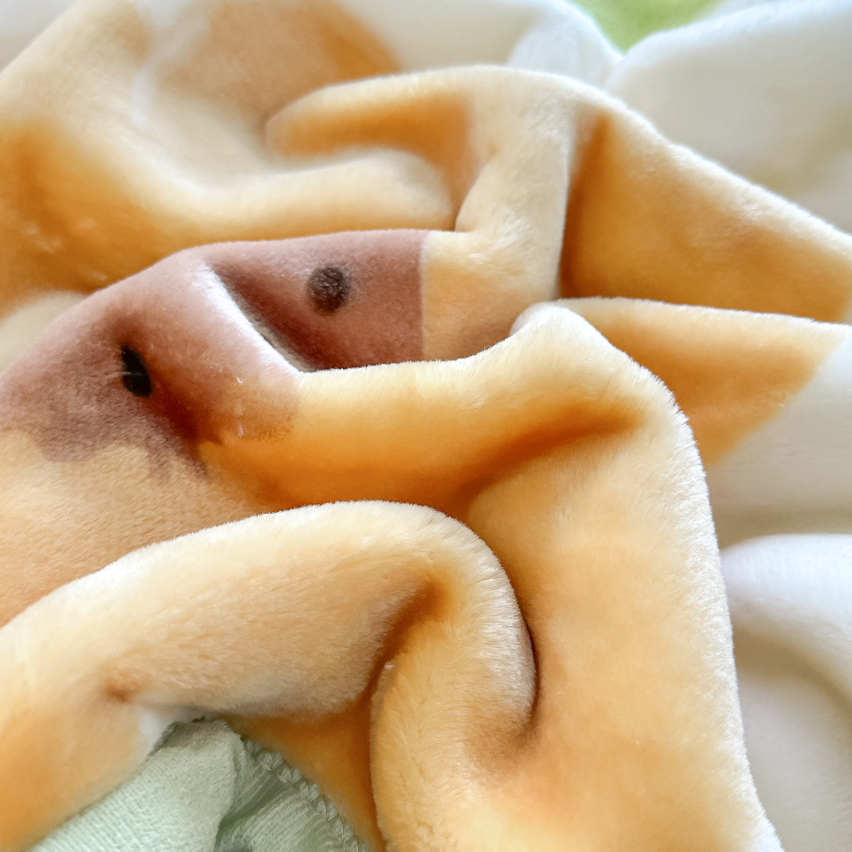 Luxurious Double-Sided Flannel Throw Blanket -Thick and Cozy Flower Blanket, All-Season Soft Couch\u002FBed Cover, Washable Decorative Throw for Home
