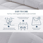 Hotel Grand 1000 Thread Count European Goose Down Comforter Queen Size, 100% Egyptian Cotton Cover, Extra Warmth Duvet Insert with Corner Tabs, White Bedding Comforters, 90\