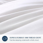 Hotel Grand 1000 Thread Count European Goose Down Comforter Queen Size, 100% Egyptian Cotton Cover, Extra Warmth Duvet Insert with Corner Tabs, White Bedding Comforters, 90\
